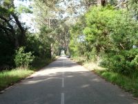 image4